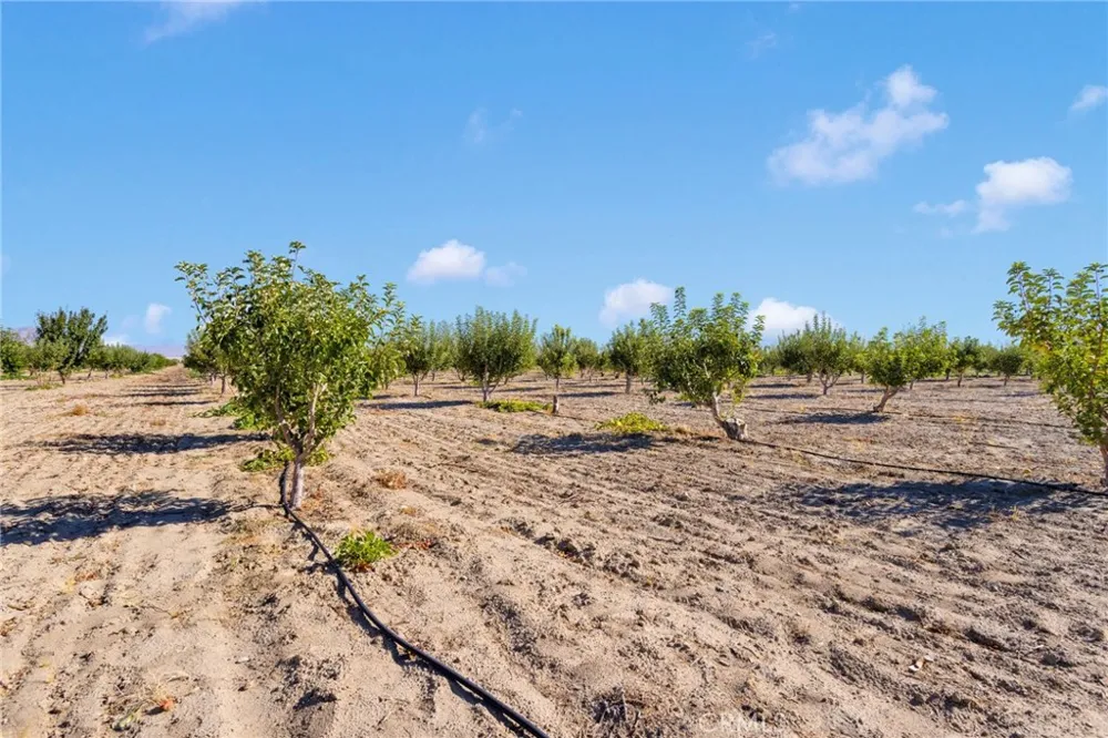 10099 Highland Avenue Lucerne Valley, CA 92356