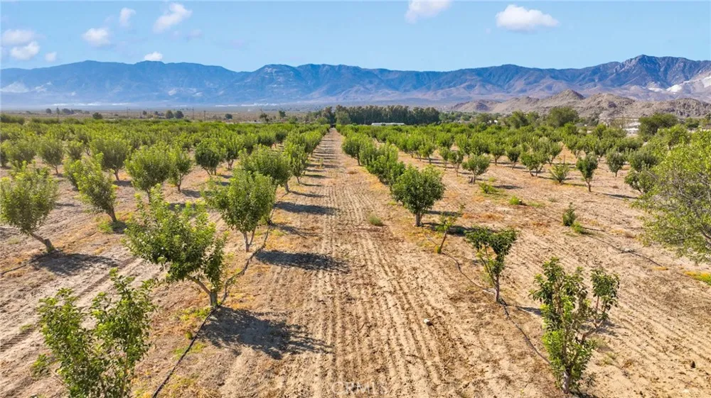 10099 Highland Avenue Lucerne Valley, CA 92356