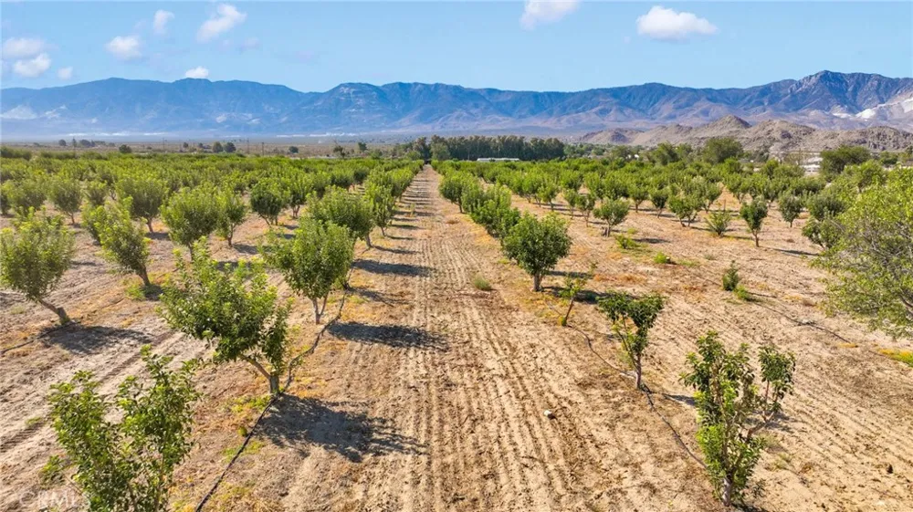 10099 Highland Avenue Lucerne Valley, CA 92356