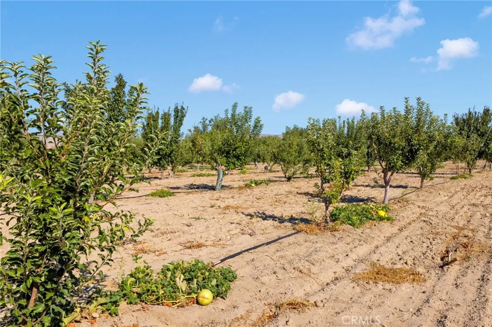 10099 Highland Avenue Lucerne Valley, CA 92356