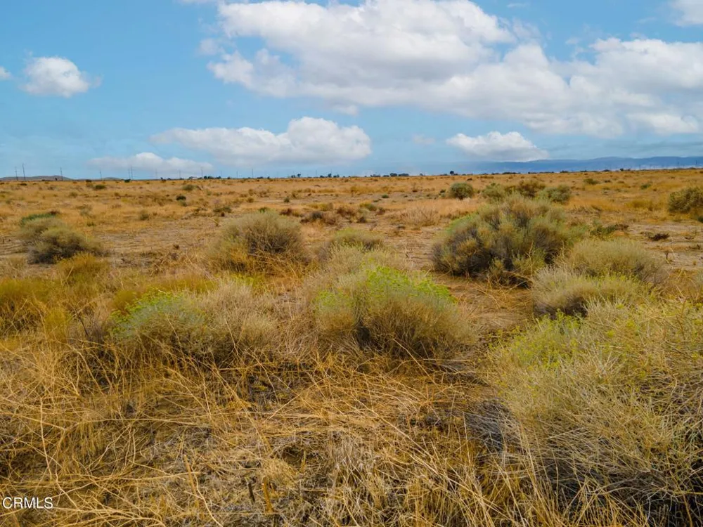 115 VAC/AVE A/VIC Antelope Acres, CA 93536