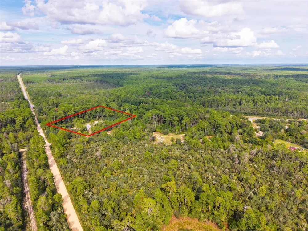52215 STATE ROAD 19 Altoona, FL 32702