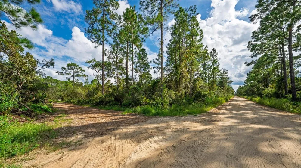 52215 STATE ROAD 19 Altoona, FL 32702