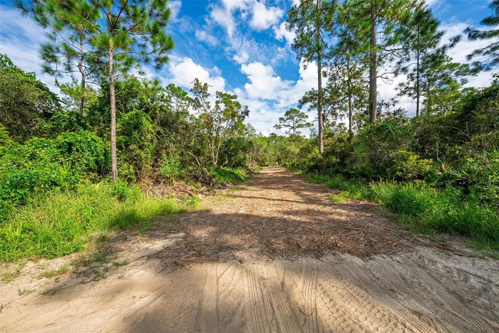 52215 STATE ROAD 19 Altoona, FL 32702