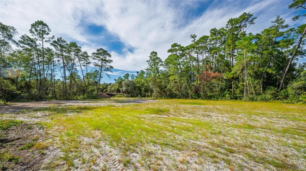 52215 STATE ROAD 19 Altoona, FL 32702