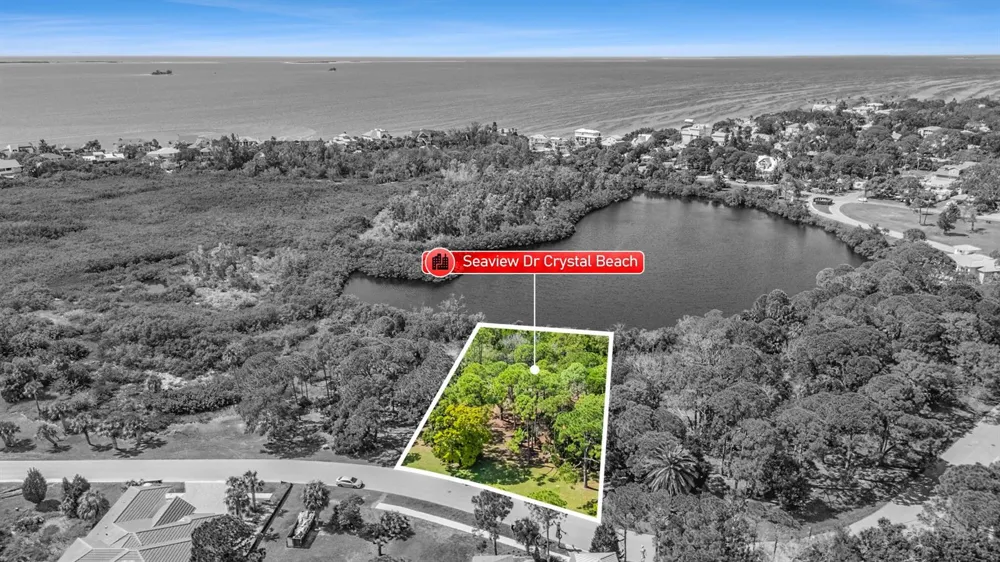 SEAVIEW DRIVE Crystal Beach, FL 34681
