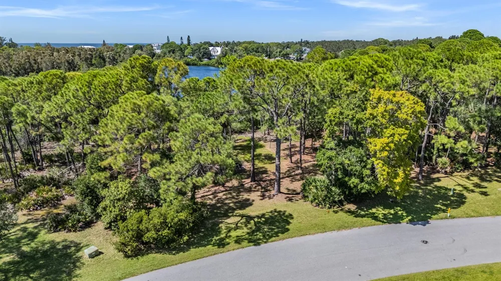 SEAVIEW DRIVE Crystal Beach, FL 34681