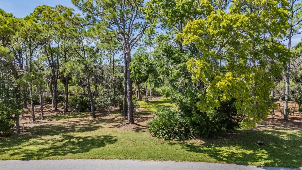 SEAVIEW DRIVE Crystal Beach, FL 34681