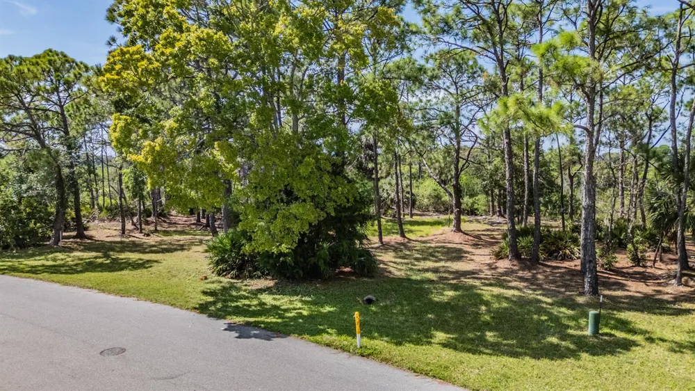 SEAVIEW DRIVE Crystal Beach, FL 34681