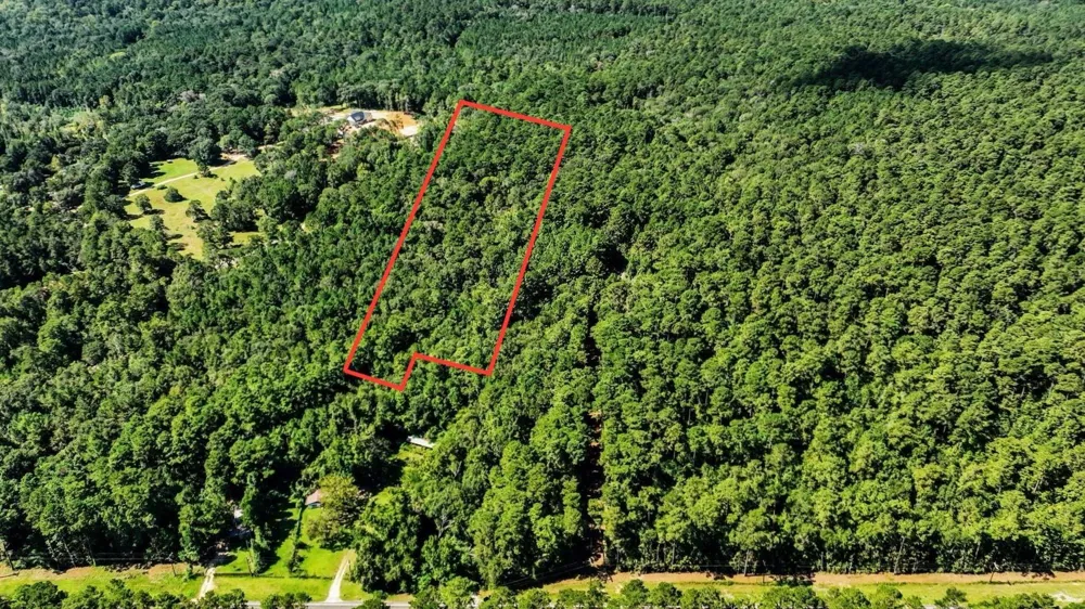 Shepard Lane Coldspring, TX 77331