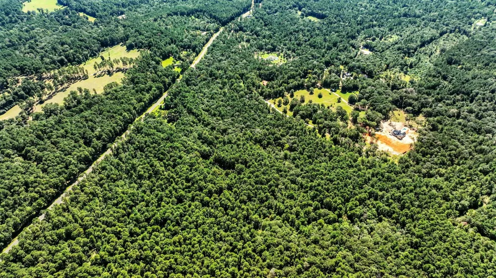 Shepard Lane Coldspring, TX 77331