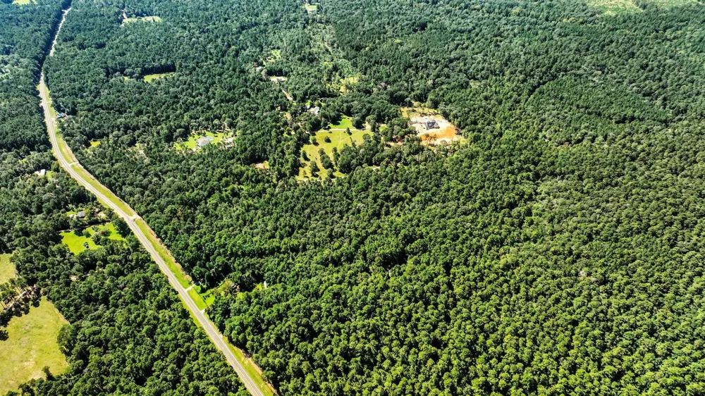 Shepard Lane Coldspring, TX 77331