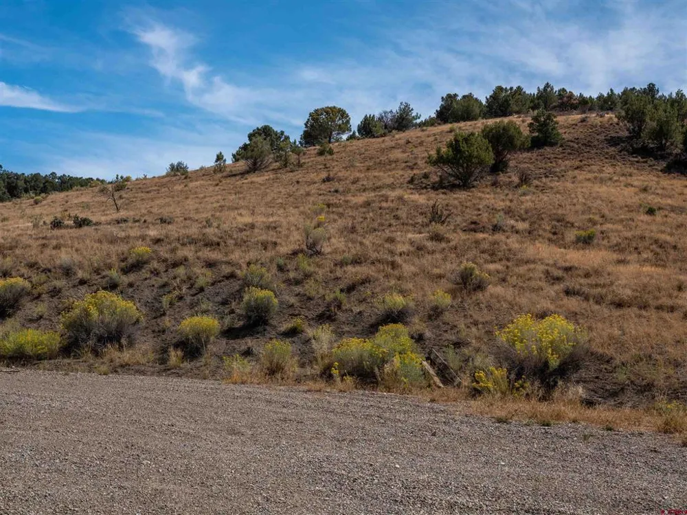 Tbd Road V.5 Dolores, CO 81323