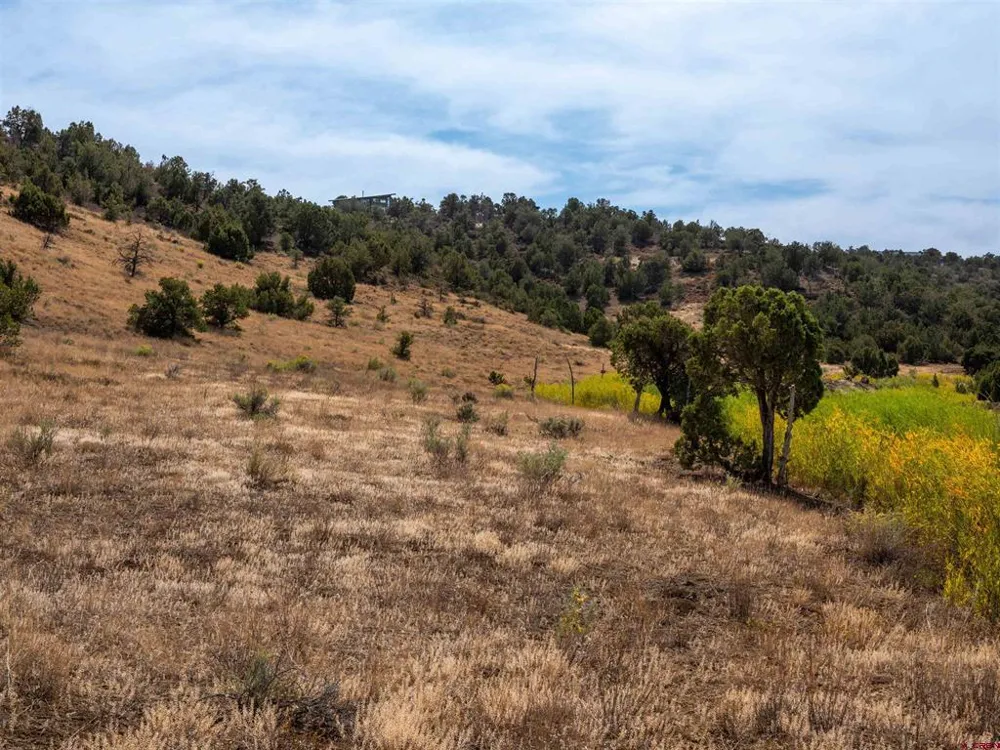 Tbd Road V.5 Dolores, CO 81323