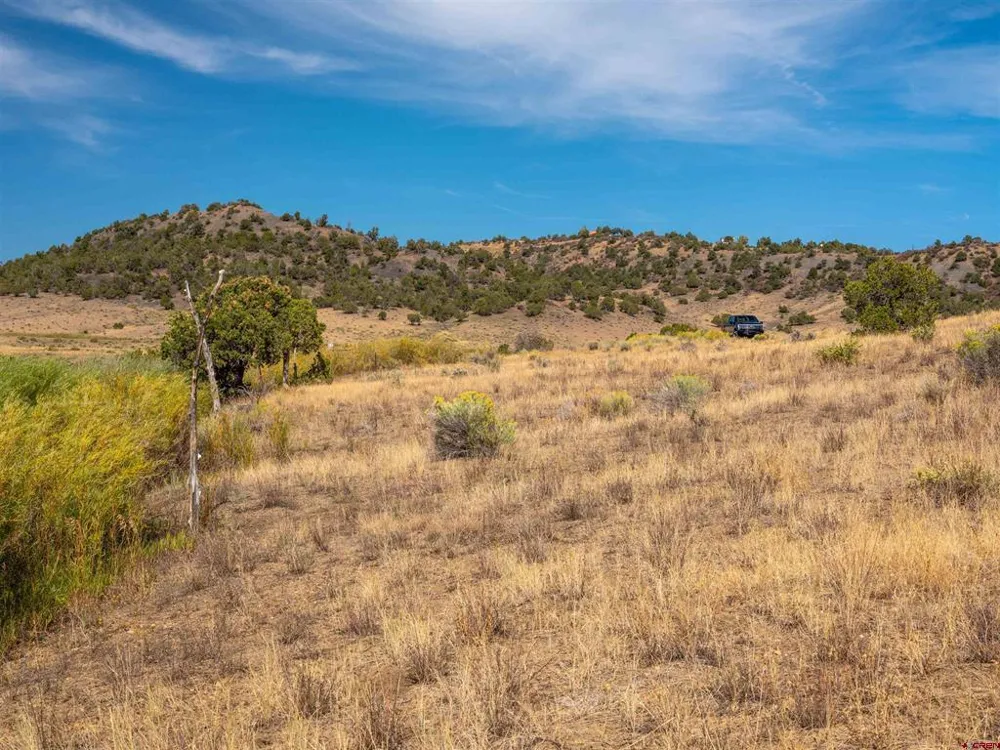 Tbd Road V.5 Dolores, CO 81323