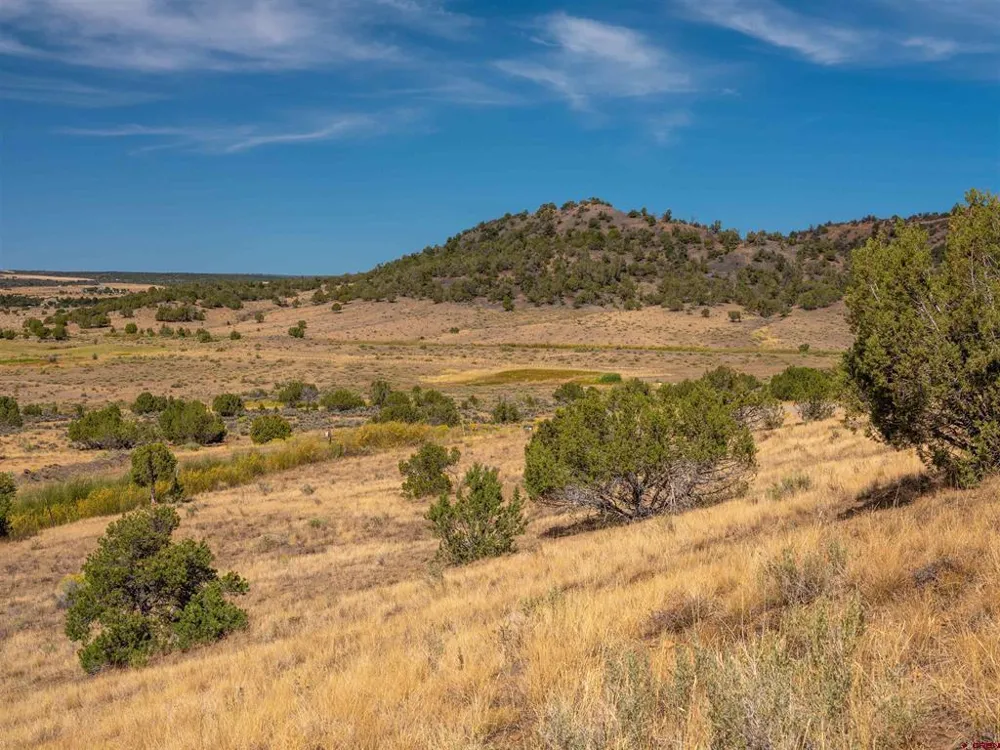 Tbd Road V.5 Dolores, CO 81323