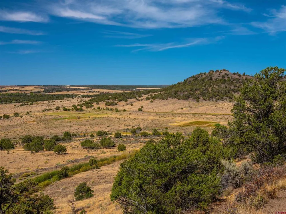 Tbd Road V.5 Dolores, CO 81323