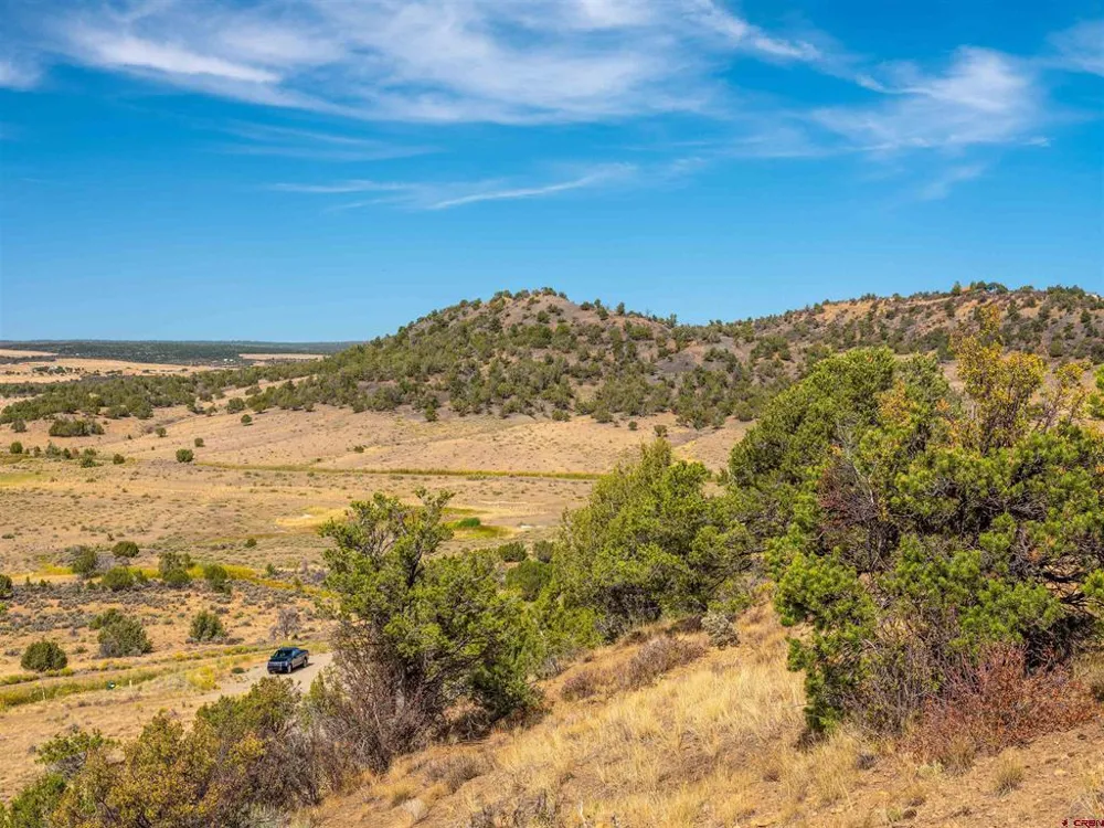 Tbd Road V.5 Dolores, CO 81323