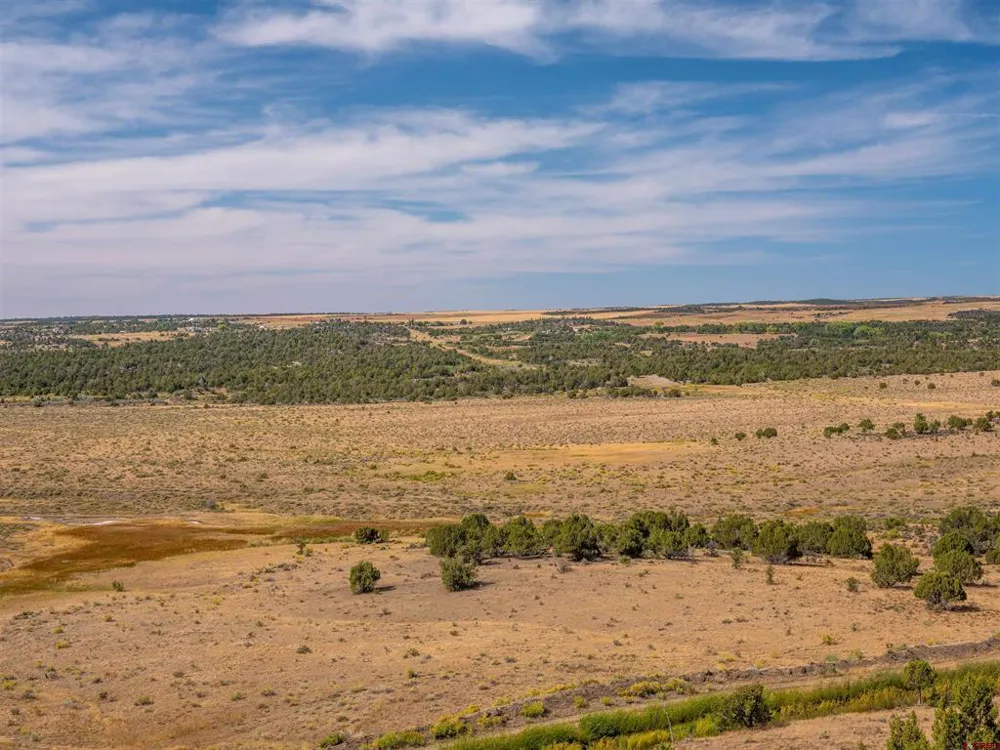 Tbd Road V.5 Dolores, CO 81323