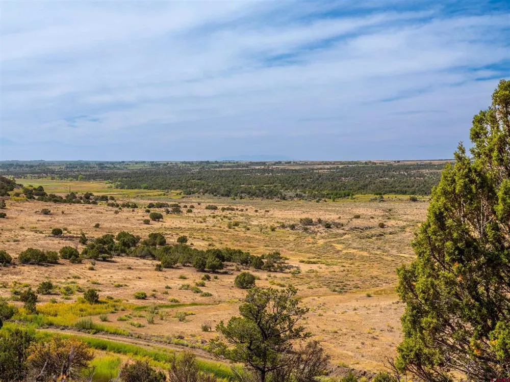 Tbd Road V.5 Dolores, CO 81323
