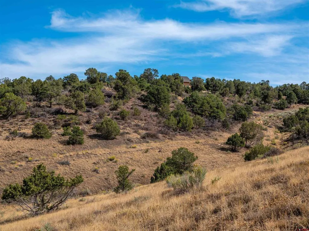 Tbd Road V.5 Dolores, CO 81323