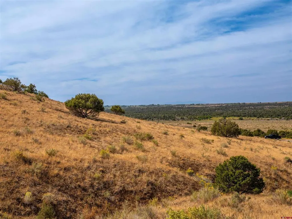 Tbd Road V.5 Dolores, CO 81323