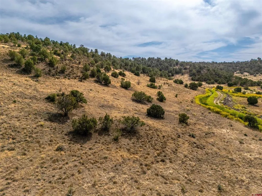 Tbd Road V.5 Dolores, CO 81323