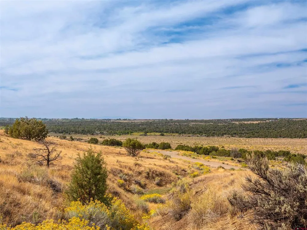 Tbd Road V.5 Dolores, CO 81323