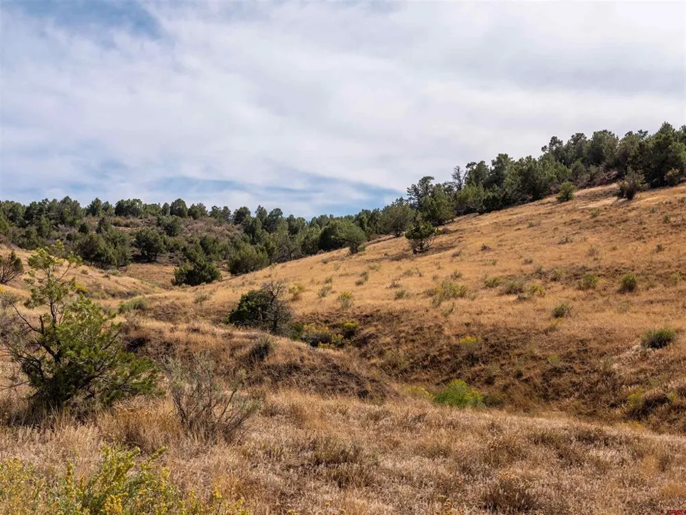 Tbd Road V.5 Dolores, CO 81323