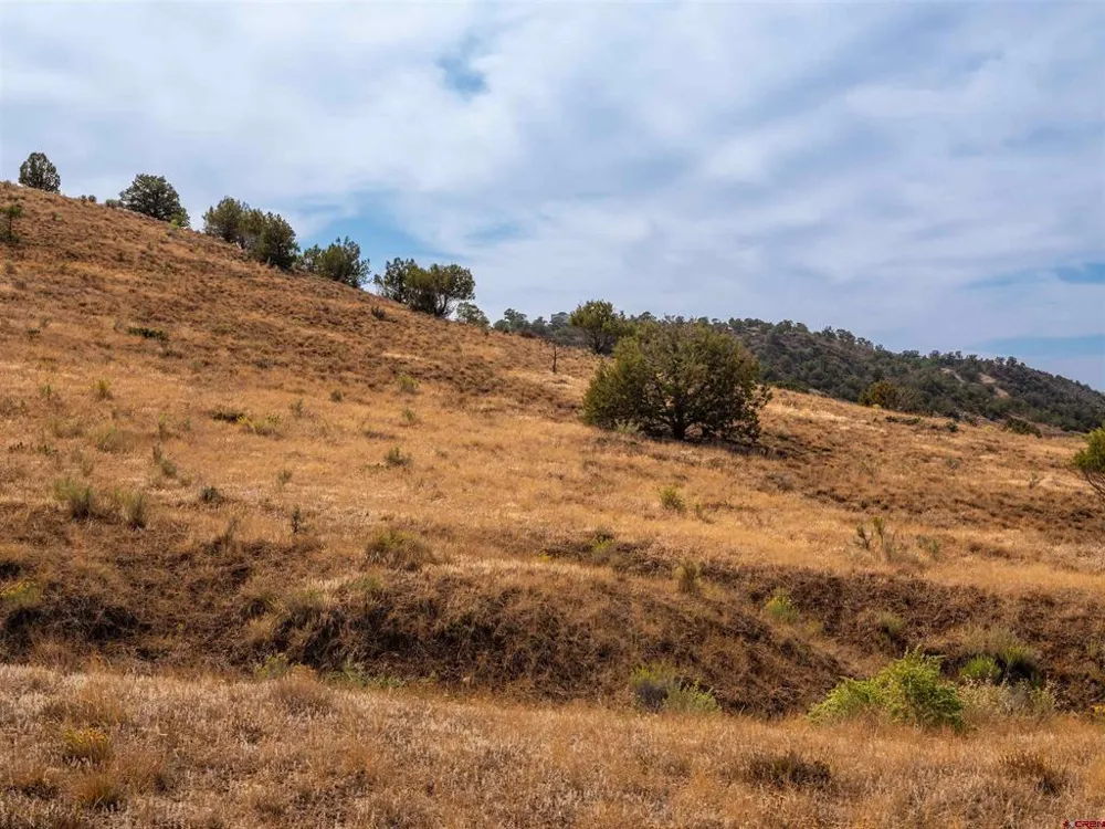 Tbd Road V.5 Dolores, CO 81323