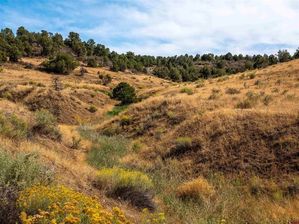 Tbd Road V.5 Dolores, CO 81323