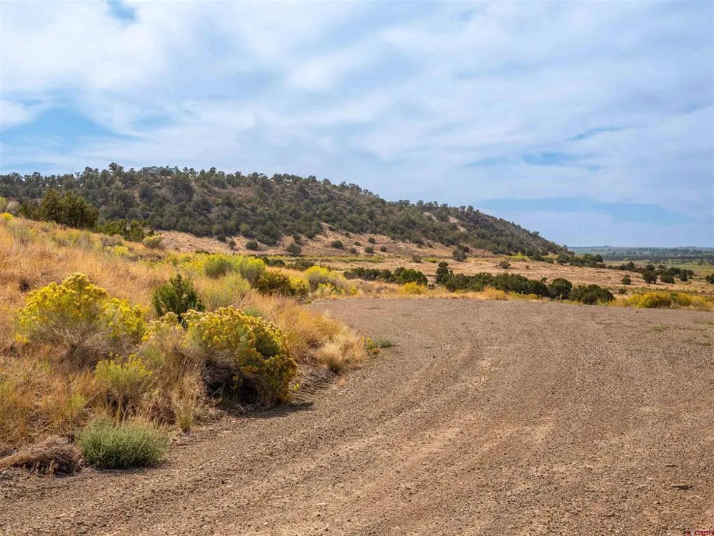 Tbd Road V.5 Dolores, CO 81323