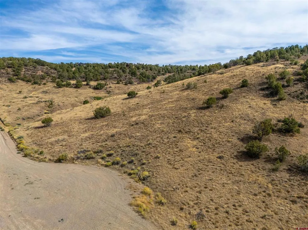 Tbd Road V.5 Dolores, CO 81323
