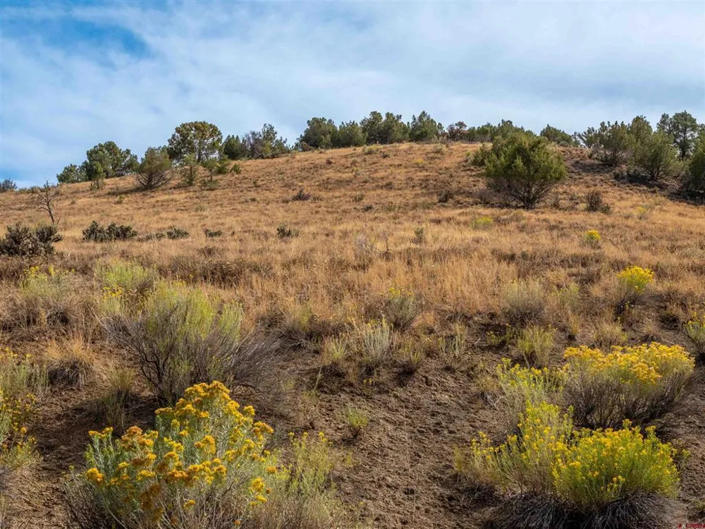 Tbd Road V.5 Dolores, CO 81323
