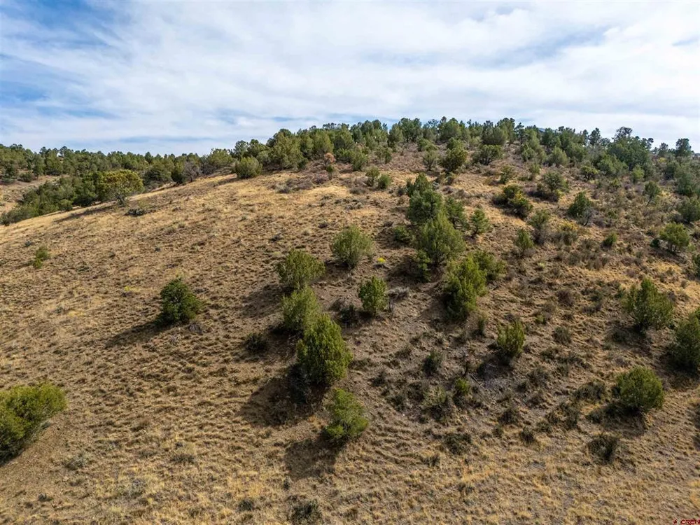 Tbd Road V.5 Dolores, CO 81323