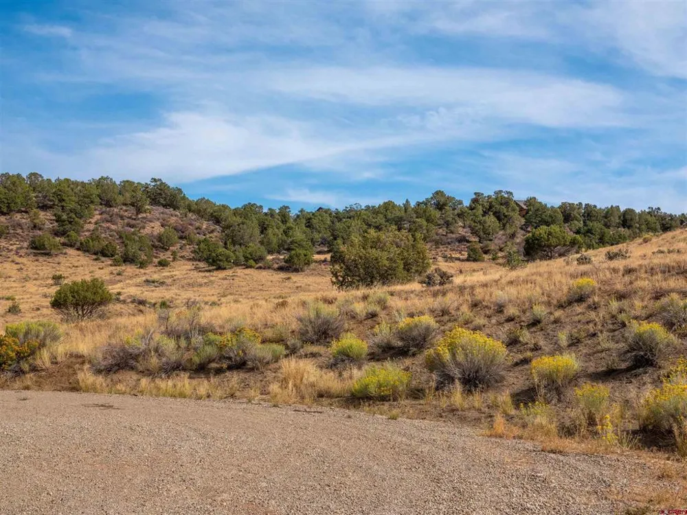 Tbd Road V.5 Dolores, CO 81323