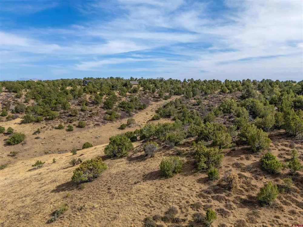 Tbd Road V.5 Dolores, CO 81323