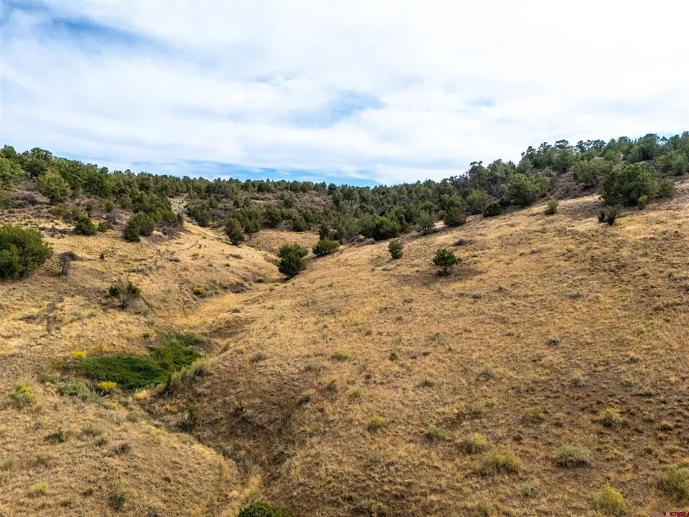 Tbd Road V.5 Dolores, CO 81323