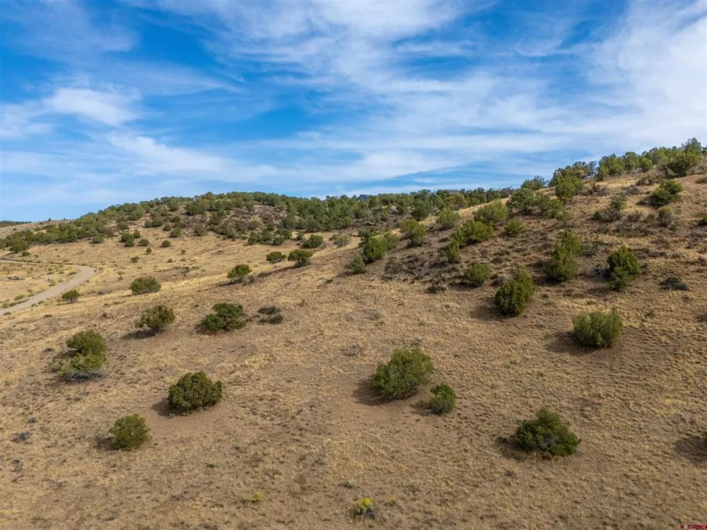 Tbd Road V.5 Dolores, CO 81323