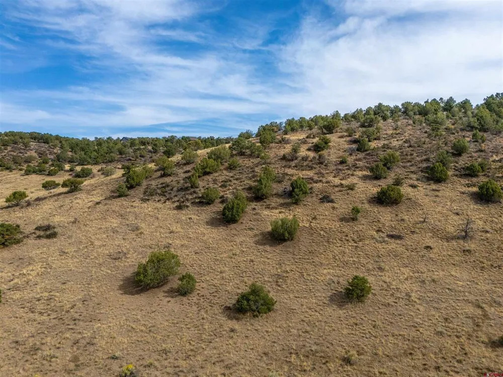 Tbd Road V.5 Dolores, CO 81323