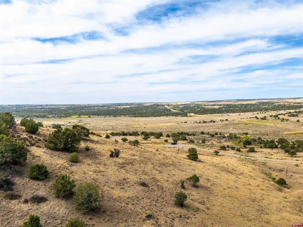 Tbd Road V.5 Dolores, CO 81323