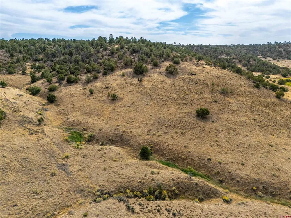 Tbd Road V.5 Dolores, CO 81323