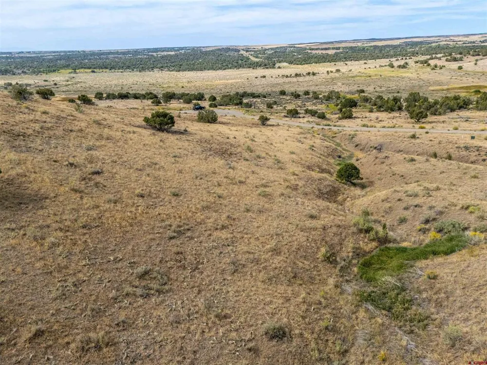 Tbd Road V.5 Dolores, CO 81323