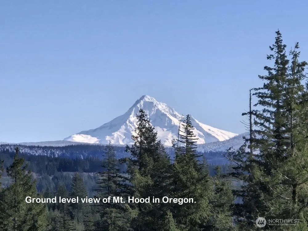 1051 SKAMANIA MINES ROAD Washougal, WA 98671