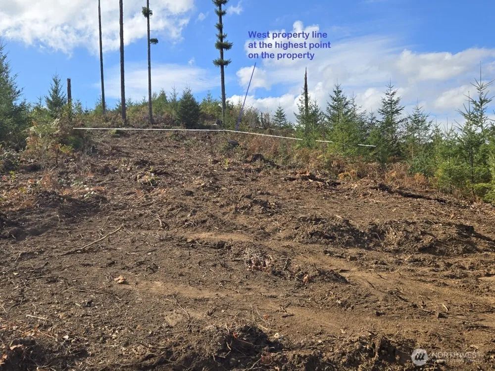 1051 SKAMANIA MINES ROAD Washougal, WA 98671