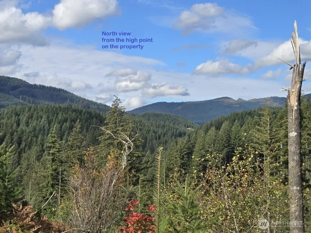 1051 SKAMANIA MINES ROAD Washougal, WA 98671