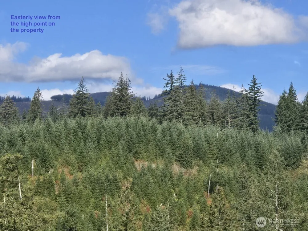 1051 SKAMANIA MINES ROAD Washougal, WA 98671