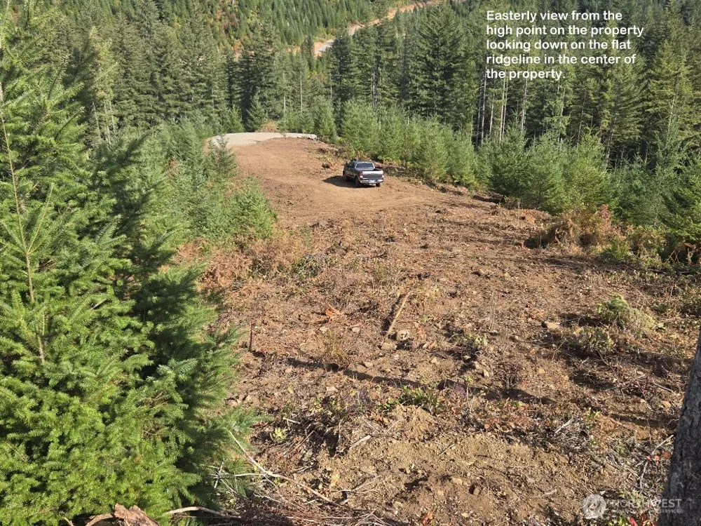 1051 SKAMANIA MINES ROAD Washougal, WA 98671