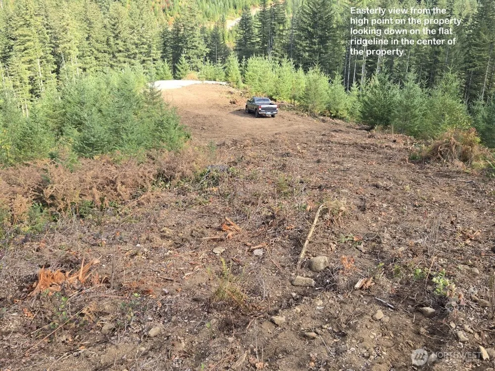 1051 SKAMANIA MINES ROAD Washougal, WA 98671
