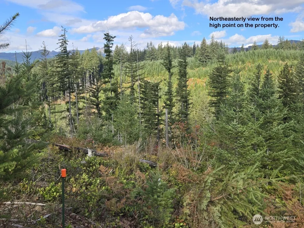 1051 SKAMANIA MINES ROAD Washougal, WA 98671